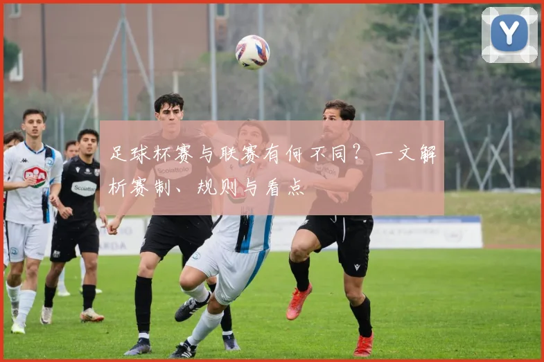 足球杯赛与联赛有何不同?一文解析赛制、规则与看点